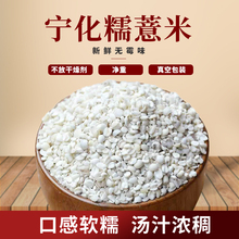 宁化糯薏米仁新货福建客家特产新鲜杂粮小粒苡熬粥材料500g