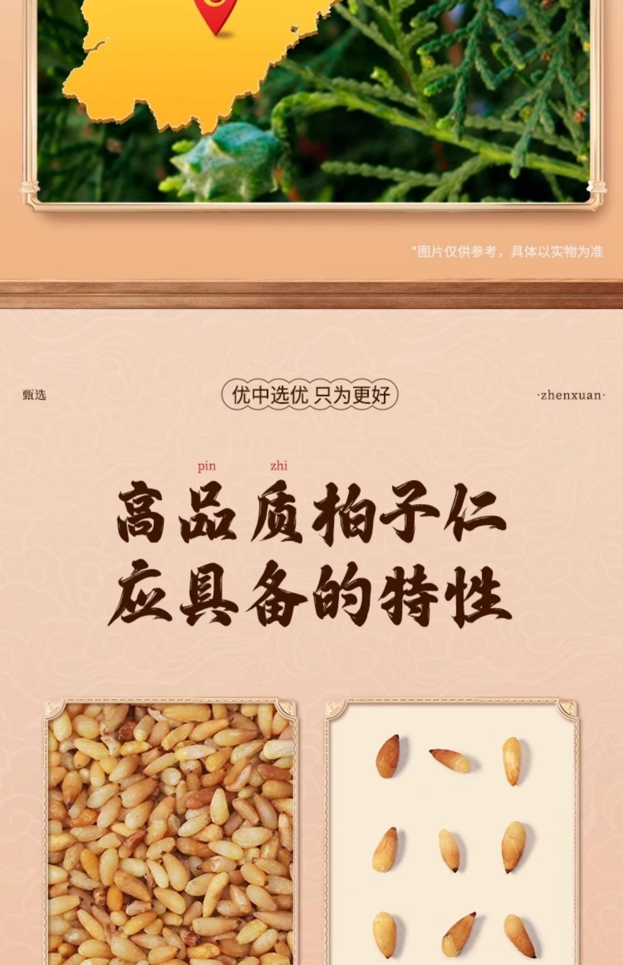 Platycladus Seed Bi Zi Ren 40g Shell-Free Dried Herb for Tea and Decoction key features