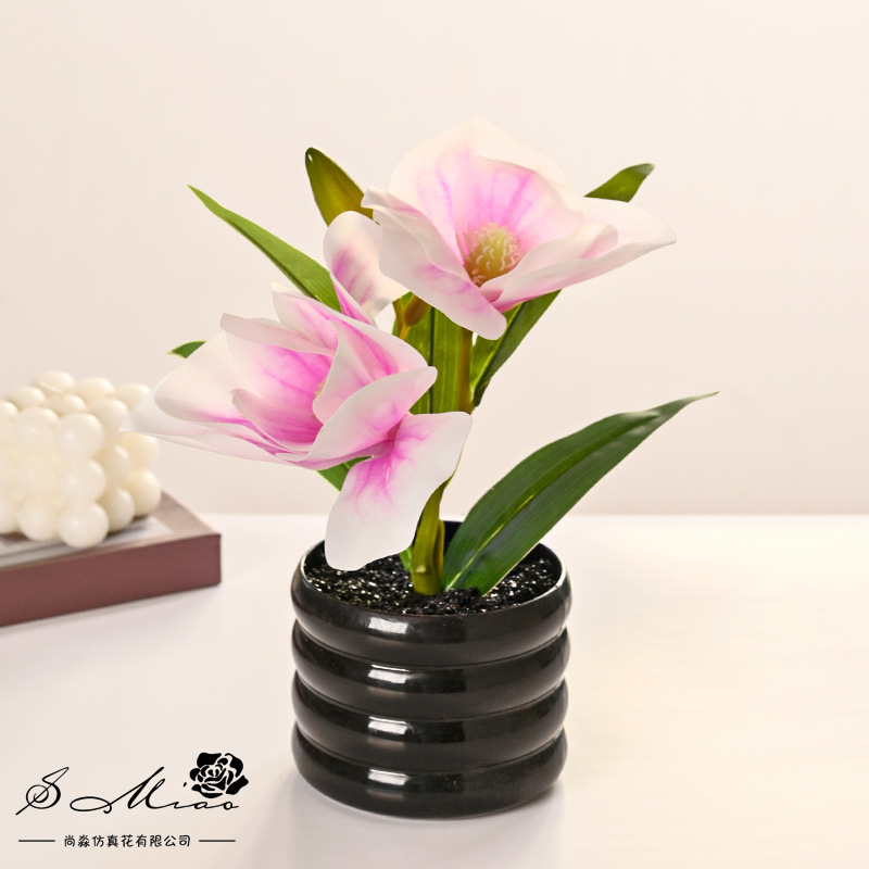 Dos flores y una fruta sensación de imitación de flores en maceta de magnolia, decoración de plantas verdes en el hogar, sala de estar, pequeñas flores de bonsai image 5