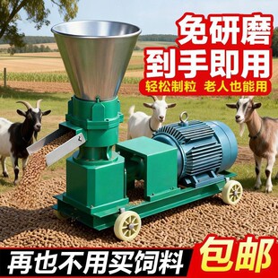 ����w���C�Bֳ�Cе�ɝ�����w����ϙCţ�������C���l