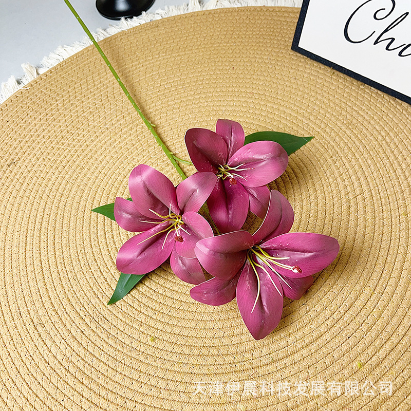 3헤드 필름 릴리 둥근 모서리-빨간색