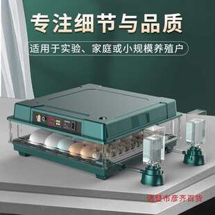 Incubator Small Fully Automatic Incubator Household Smart Egg Incubator Rutin Chicken Quail Parrot Egg Incubator