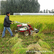 小型割捆一体机 自走式小麦水稻打捆自走式电启动农业多功能割捆