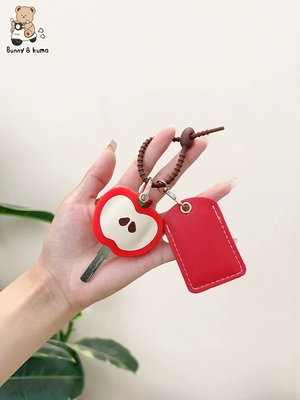 Electric vehicle key cover shell: Card Protective Cover, Access Control Card