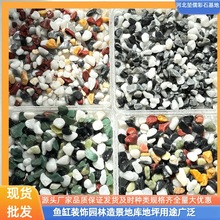 厂家批发彩色石子铺面盆栽水培植物铺底五彩石子造景装饰彩色石子