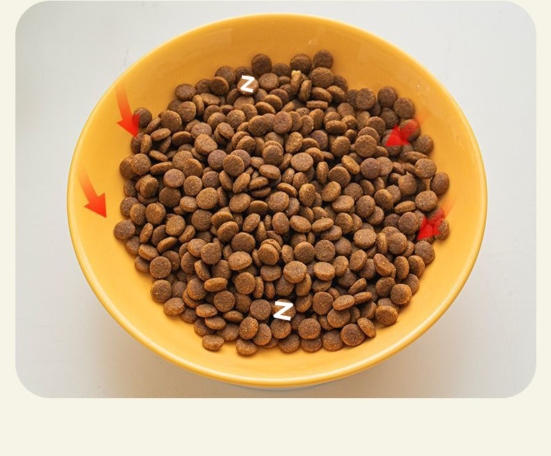 de652604-b0cb-485c-96eb-e66b8db809b5.jpe