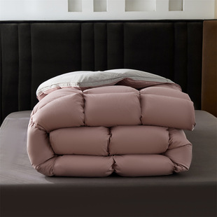 Lanjing Tencel Cloud Sense Snow Goose Fleece Quilt 95 Down Quilt Thickened Double Mute Non-slip Spring and Autumn Quilt Skin-friendly Quilt