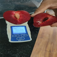 ���������l���浰�������t�����ӿڸм������������̫�������