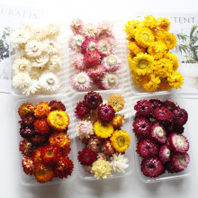 С�r�ոɻ������ջ��^��޹Ϟ�T���diy���ϰ����˹��Y��