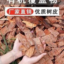 ��ĥ�����ɘ�Ƥ�ЙC���w���Ѩ���@�쾰�b������Ȼ��K�l�ͻ��|