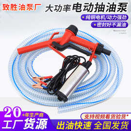 电动抽油泵直流加油泵抽油潜油泵不锈钢耐腐蚀油桶自吸水泵潜水泵