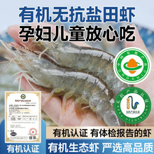 真有机无抗盐田大虾盐冻孕妇白虾活冻虾礼盒儿童宝宝辅食新鲜冷冻