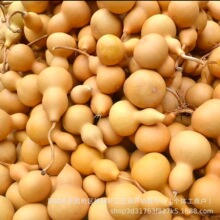 ȻƤСJWӮ覴úJغJoJ