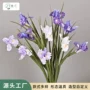 爱丽斯高档盆栽拍摄插花