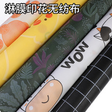 淋膜印花无纺布卷野餐垫收纳袋用PE覆膜淋膜印花复合PP无纺布