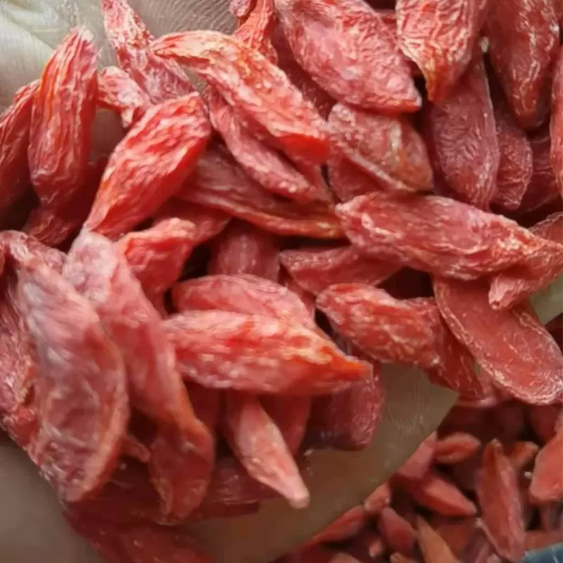 大颗粒小辣椒枸杞小尖椒枸杞原产地宁夏中宁子批发无硫红枸杞