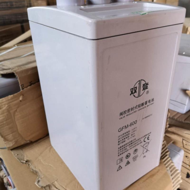 双登铅酸免维护蓄电池GFM-600/2V600AH直流屏 UPS电源机房 太阳能