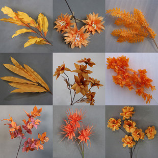 ��ɫ���滨��c��ˇ��ɫ������Y���b���·�����Ź��T������