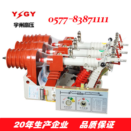 供应FN12-12DR/125  FKN12A-12D/T630-20户内高压负荷开关