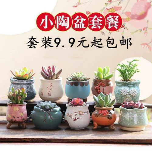 Pottery pot set for succulent plants, breathable, retro simple thumb pot, succulent potting plant combination
