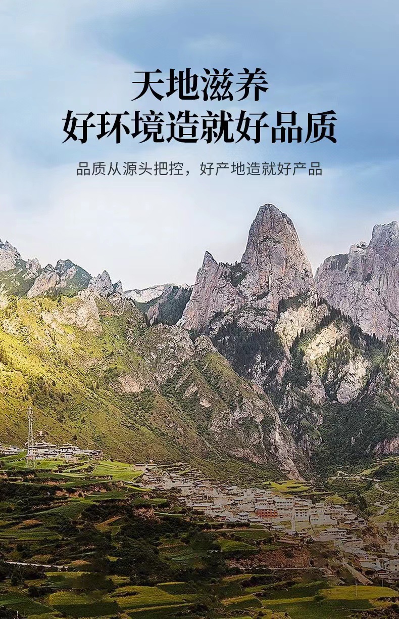 Dried Alisma Slices Ze Xie 泽泻 Water Plantain Rhizome 100g Jar for Decoction and Soup quality and texture