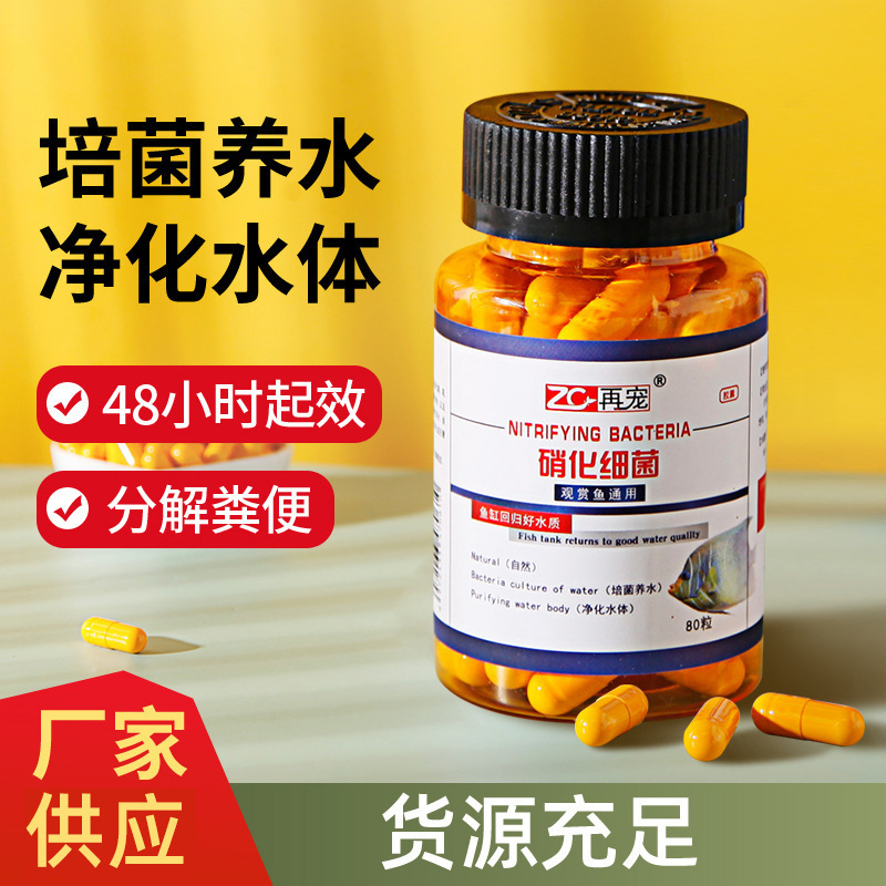 Nitrifying Bacteria Capsules, Arowana Tank Water Purifier, Water Quality Stabilizer, Concentrated Dry Powder Bacteria, Nitrifying Bacteria Capsules