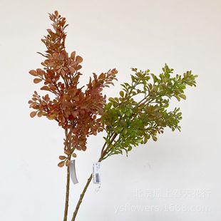 Boxwood Leaf Home Wedding Photography Decorative Flower Simulation Plant Simulation Flower Material Boxwood Leaf Branch Artificial Flower Wholesale