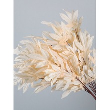 �¿���㙉ɫϵ��Y�������mõ���픻�c·�����廨��ĵ��