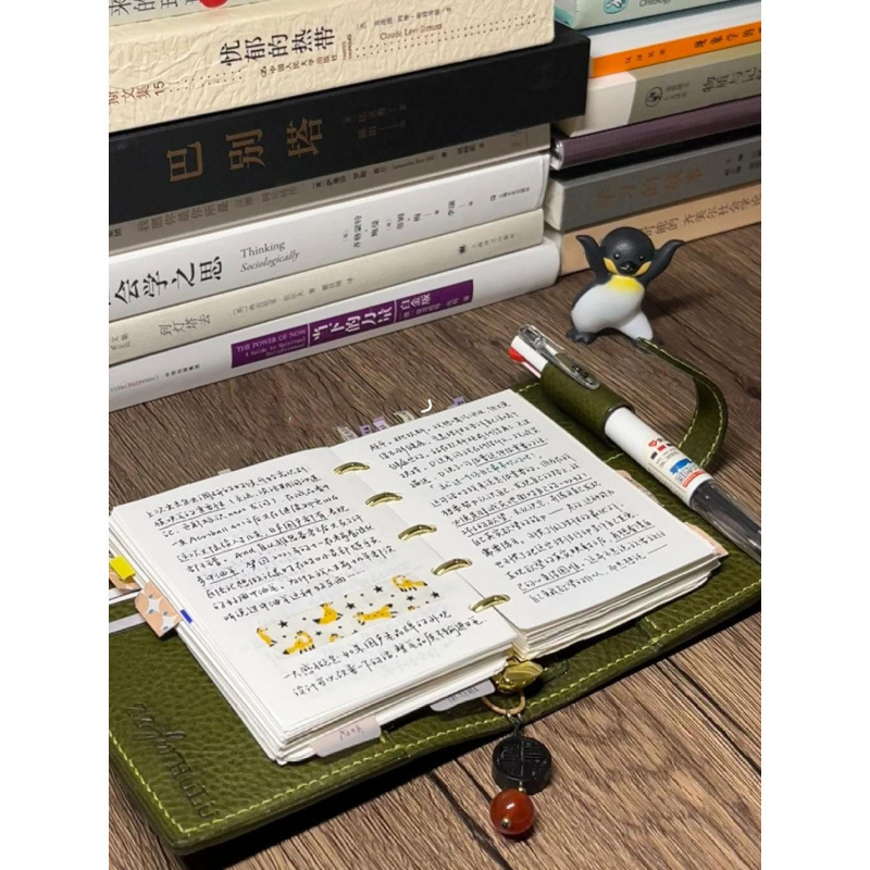 绿野仙踪三折活页手账本小众记录打卡日程记事笔记本|undefined