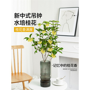 ˮ���ļ�����ʽ���R�Gֲ�r�л�ˮ�B�����҃ȝ����͘�������ֲ��