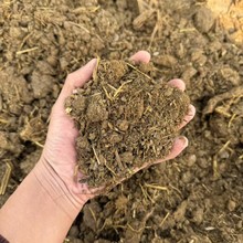 �l�͸�ţ�SĢ������ðl��ţ�S���������@�־G���r�ҷʰl��ţ�S