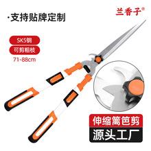 ������ʼ����������԰���̻�����SK5�ֲ�ƺ��ʡ����֦԰�ռ���