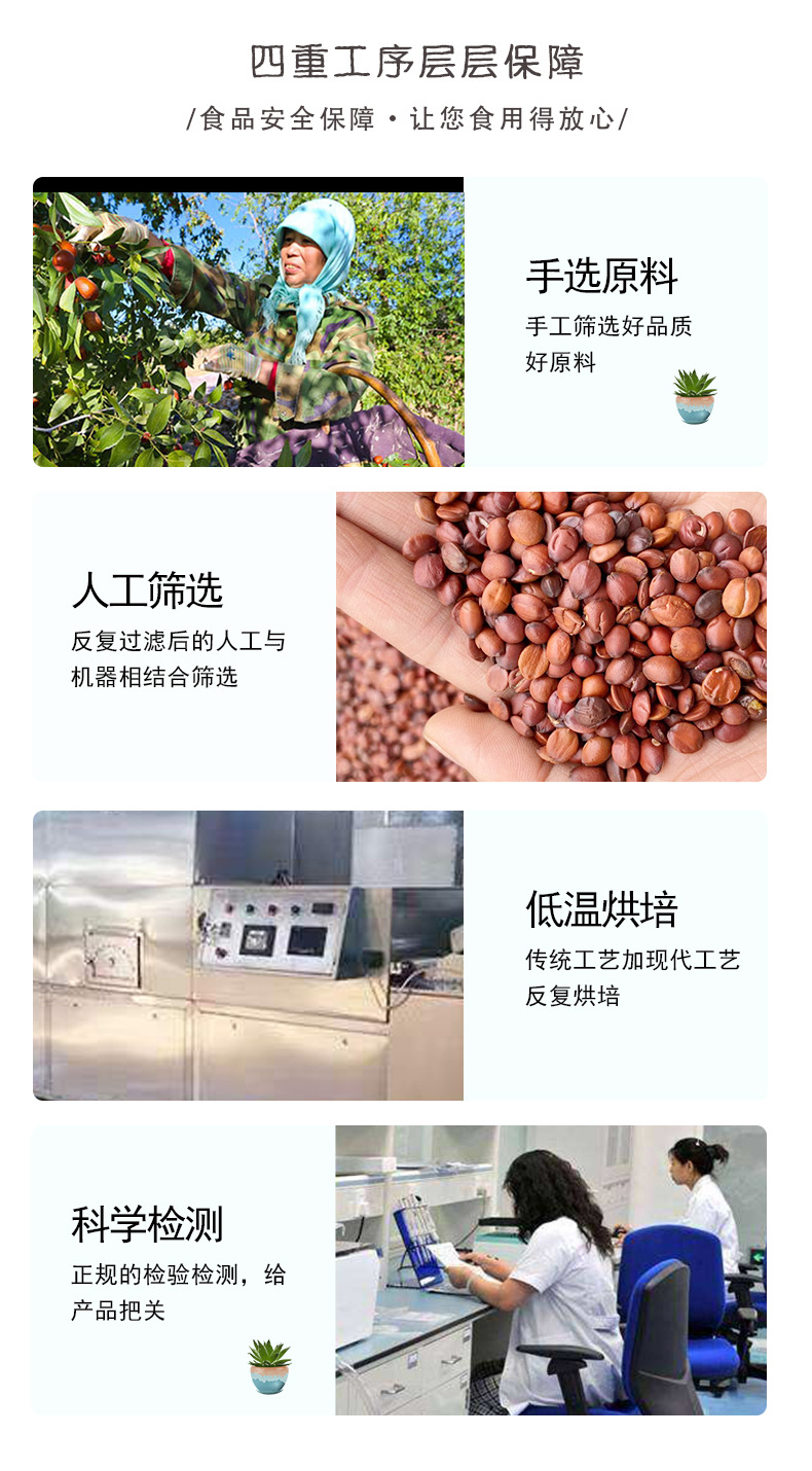 Sour Jujube Seed Suan Zao Ren 50g Freeze-Dried Chinese Herbal Tea Ingredient quality and texture