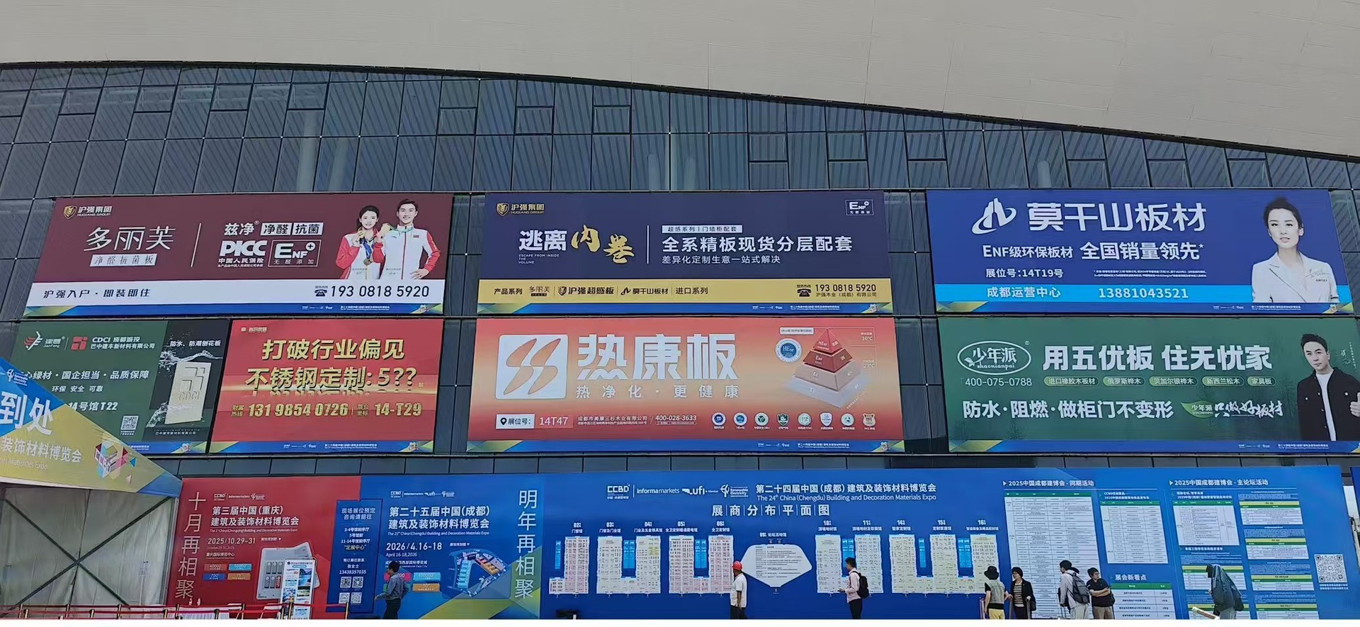 多丽芙 (1).jpg