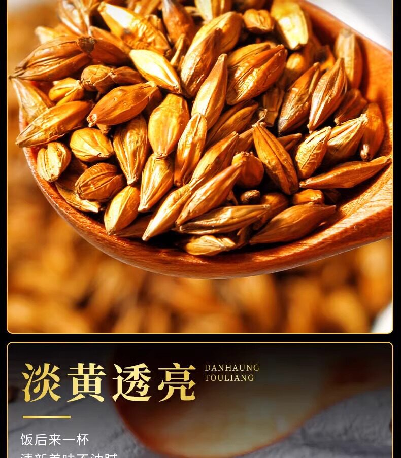 Premium Roasted Barley Sprout Dried Herbal Tea 500g Jar Traditional Chinese Grain Decoction quality and texture