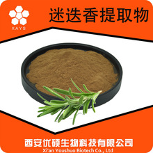 迷迭香粉SC资质齐全中另有迷迭香酸 鼠尾草酸 水溶迷迭香提取物