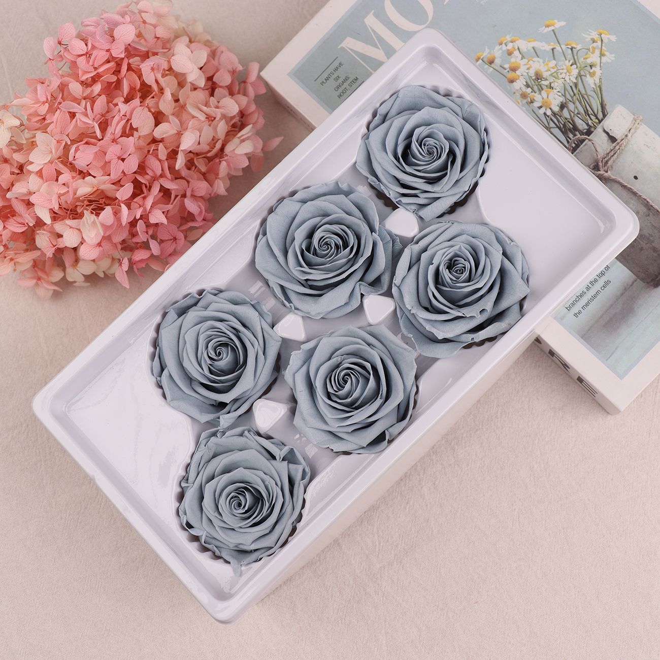 Rosa Preservada A+ de 5-6 cm, Flor Real Seca, Regalo DIY, Venta al por Mayor de Yunnan, Ramo para el Día de la Madre, 520