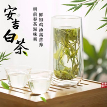 安吉白茶2024新茶明前茶口粮茶茶叶批发散茶铁罐礼盒装一件代发