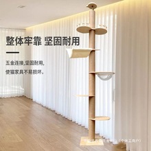 ؈����ͨ�����������؈��؈���ӌ�ľ��ľ����؈ץ��؈�C؈��̨