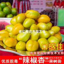 ��Ʒ�N�����������������Ә������������ͺ��ش��S�ӿ������Ե���