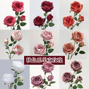 ��ɫ���Ļ�c����ɫ������õ��͹�����ϼٻ��W˹����õ�廨