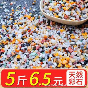 Pebbles Natural Rain Flower Stone White Stone Succulent Pavement Fish Tank Landscaping Flower Pot Gardening Decorative Stone