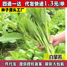 ײ̦˷NļV|İײ̦rr߲˷NѷN