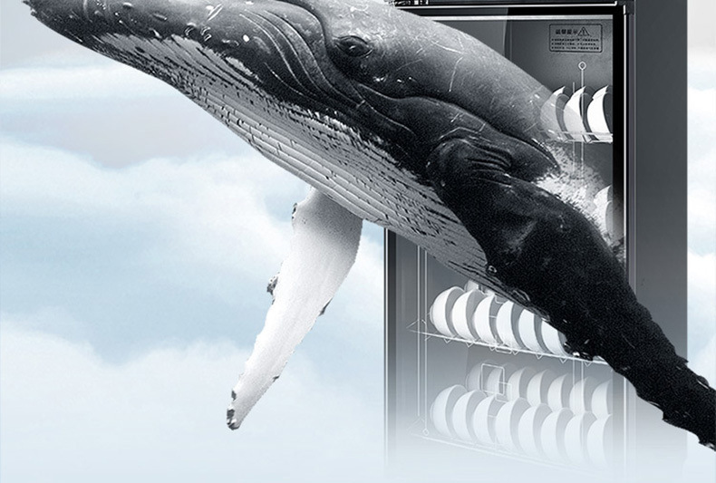 c6e15cb8-ba86-43fa-9e41-1b18ffe74a20.jpe