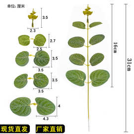 跨境绿植金钱叶婚礼插花搭配装饰仿真花叶子单支尤加利叶仿真植物