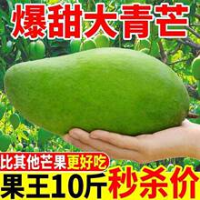 正宗越南大青芒果新鲜特大芒果10斤纯青皮甜心凯芒特当季水果整箱