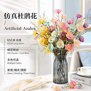 �۵������ٻ�������N���ҾӔ[�O�b��Ĕz���߾W�t����羳�۵���