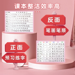 Pinyin Preview Cards for Chinese Language - Self-adhesive, suitable for students in grades 1-6