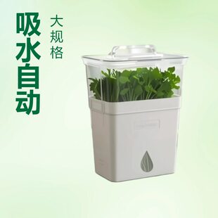 Lazy automatic water-absorbing flowerpot for family balcony vegetable pot rectangular plastic potted green radish potted hydroponic herb box