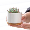 Modern flowerpot, small pot, table jewelry, Amazon, simple and elegant design